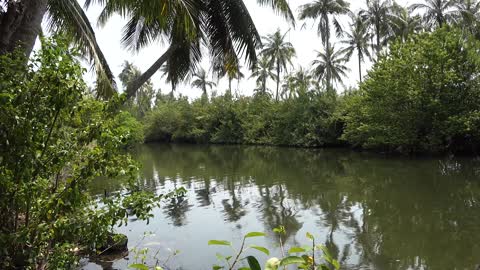 Coconut balls on the river