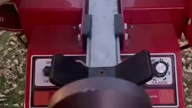 T Rex takes on judge machine