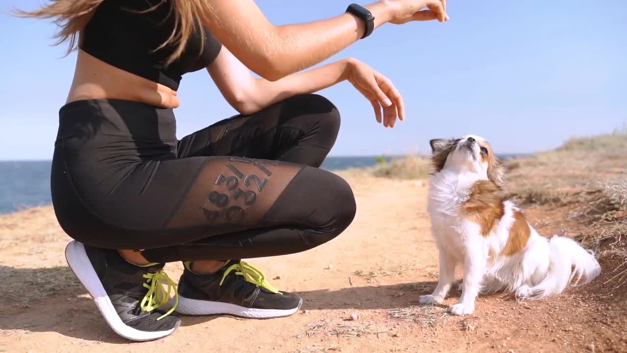 Young adult girl spending time in travel together with dog