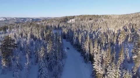 CAR IN SNOW