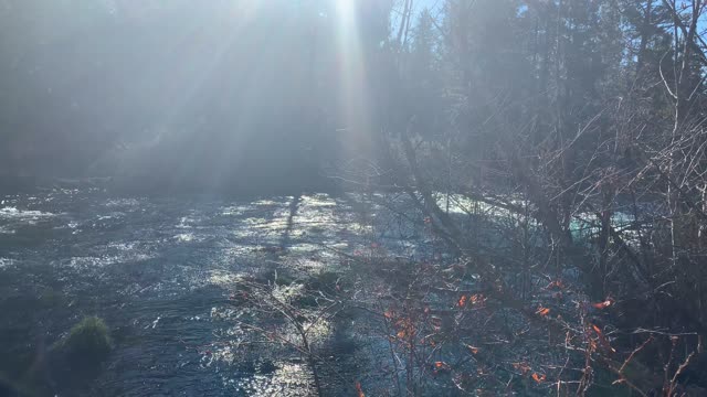 Metolius River Shoreline Access at Wizard Falls Salmon Fish Hatchery – Central Oregon