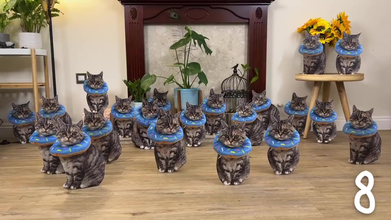 Extreme CAT Hide And Seek Challenge