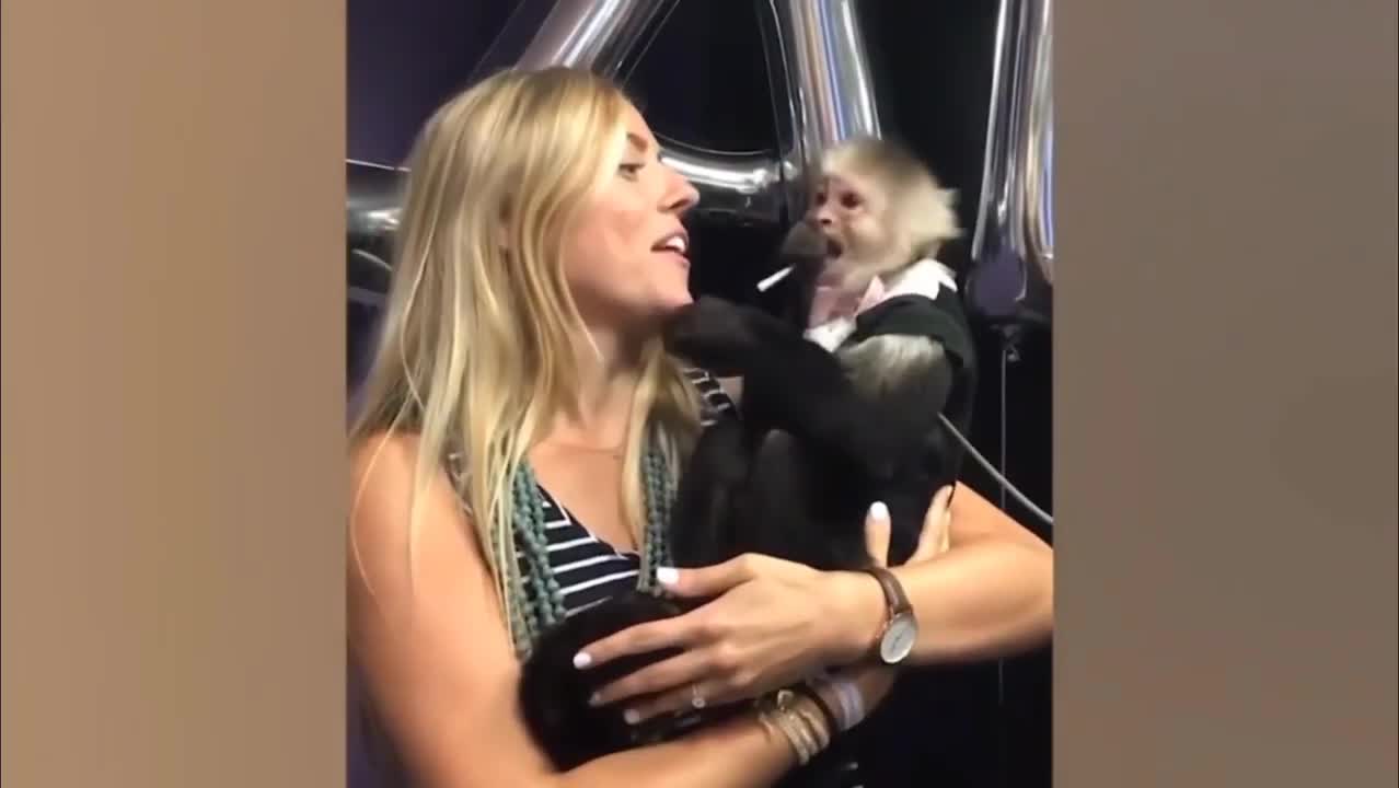 Cute Monkey Slap Girl