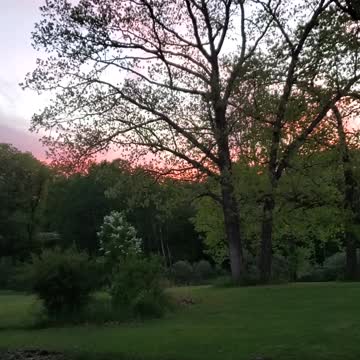 Amazing peaceful sunset