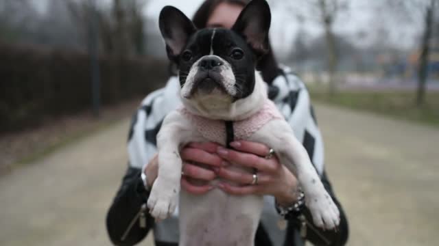 Woman holding french bulldog puppy