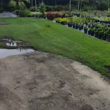 Garden centre St Kitts