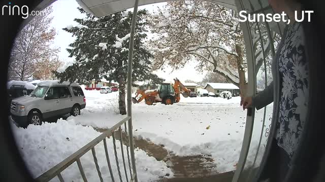 BOBCAT VS DOG AND KID!!!!