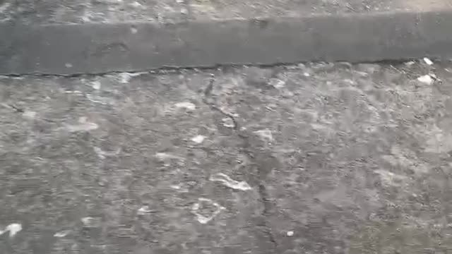Stone steps