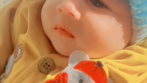 My Little Son