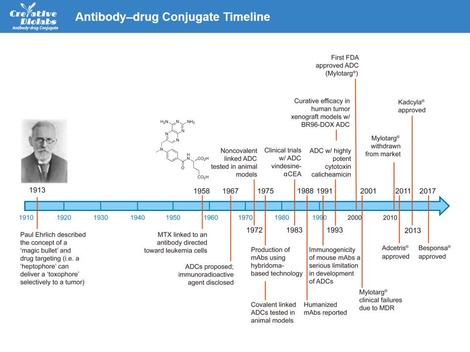 A Brief Introduction of Antibody Drug Conjugate