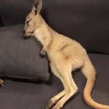 New video 😍❤️