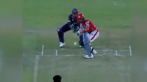 Funny Cricket Stumping