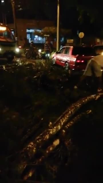 árbol caído en Bucaramanga