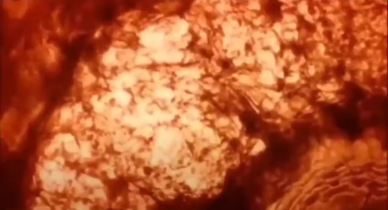 1431. CERN💥 What is CERN.