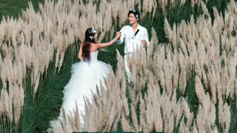 The most beautiful wedding photos 1