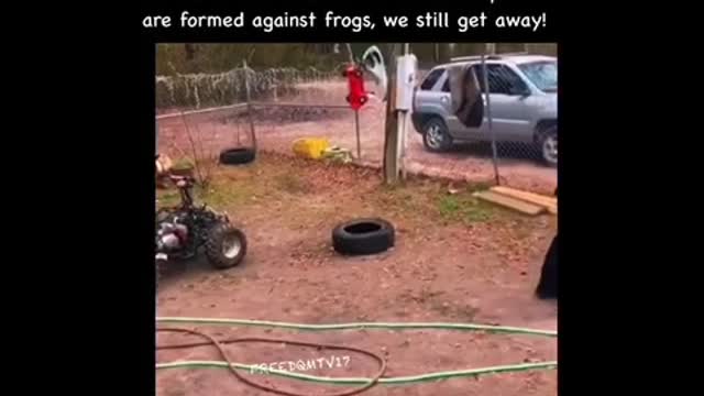 They’re trying but they can’t stop us