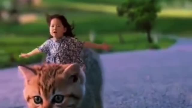 Cute Cat videos Shorts_funny_video_cat_and_dog Cute Cat videos Shorts_funny_video_cat_and_dog
