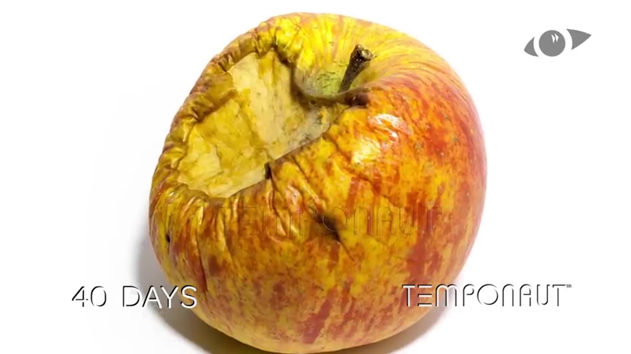 Apple Timelapse Video