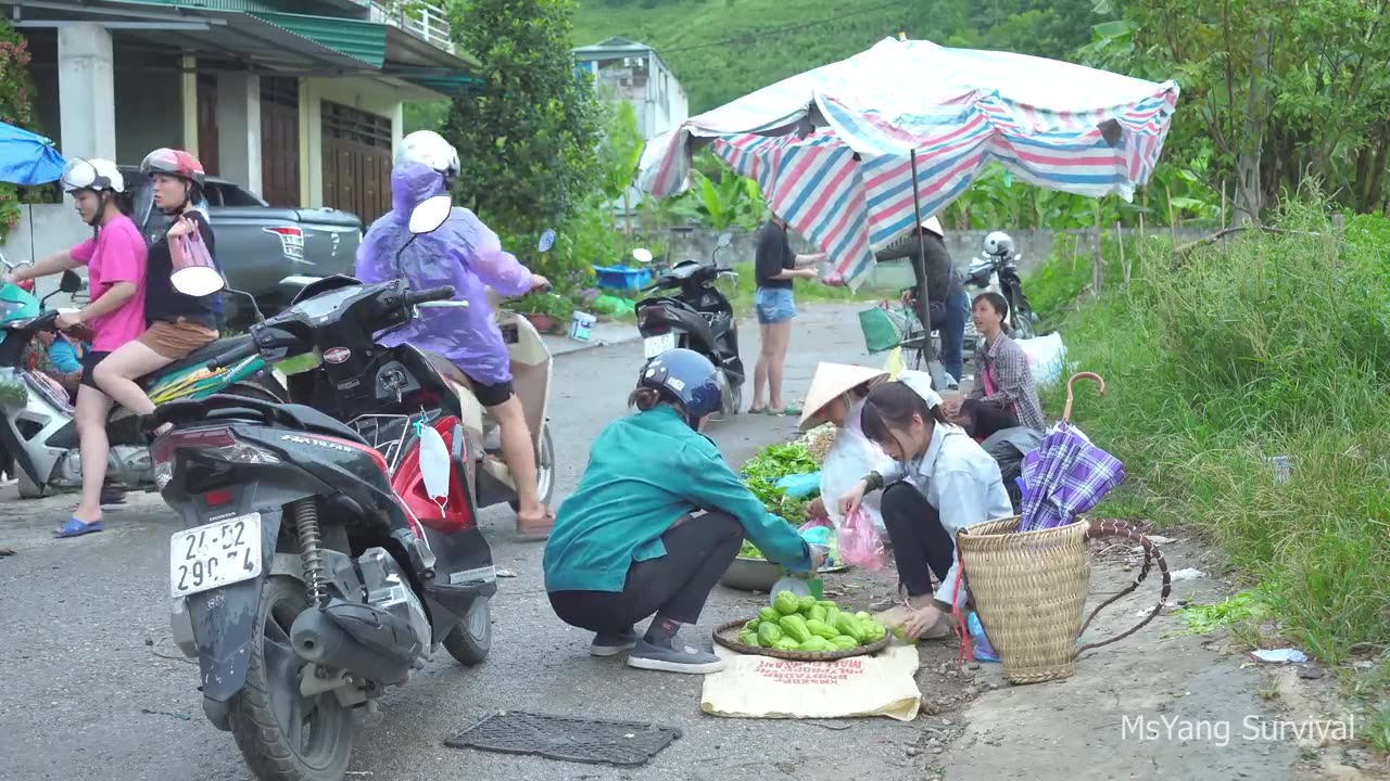 Harvesting chayote and bringing it to the market to sell in heavy rain