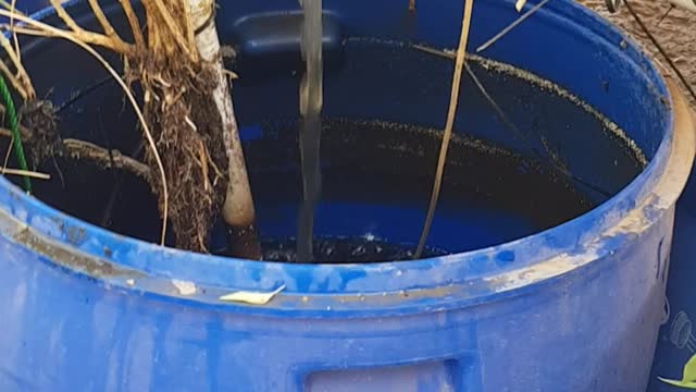My fish tank new water filter - part 1