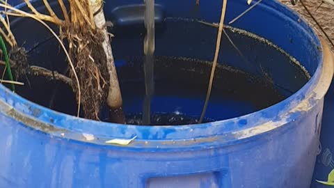 My fish tank new water filter - part 1
