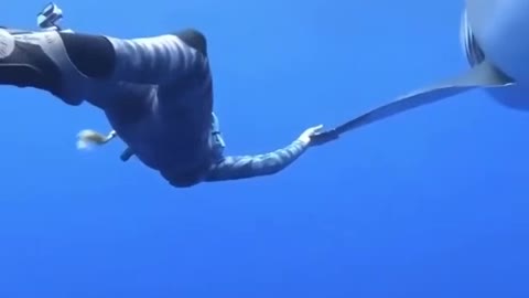 Beautifull big and strong