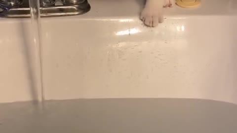 Well.. that happened.