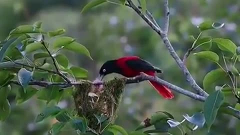 Time with God - July 26