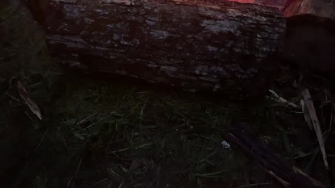 Enjoy the warmth!!!