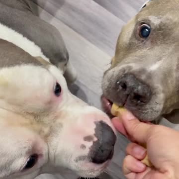 Senior citizen first 😂