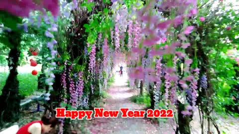 Happy New Year 2022