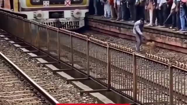 Mumbai Local Train stops to save Stray dog 👏