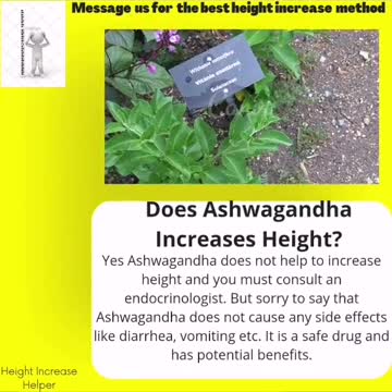 Does Ashwagandha increases height?
