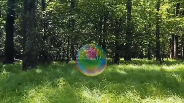 HEART CONSISTENCY - 5 MN - FOREST WALK + SONG OF BIRDS - (6 breaths / min)