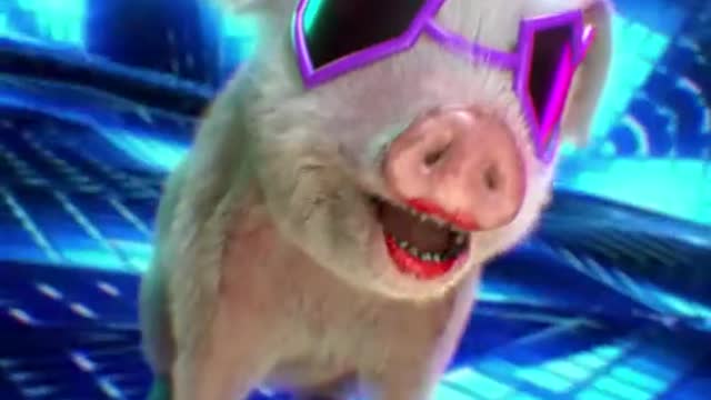 Singing pig