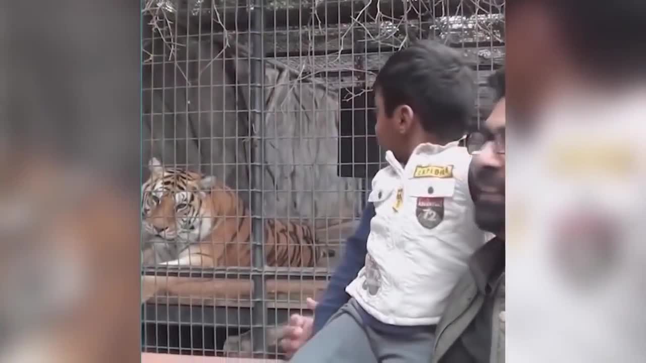 Awkward moments of life! VERY FUNNY MOMENTS. Rzhaka to tears, fumes and fun