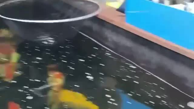 Koi fish pond