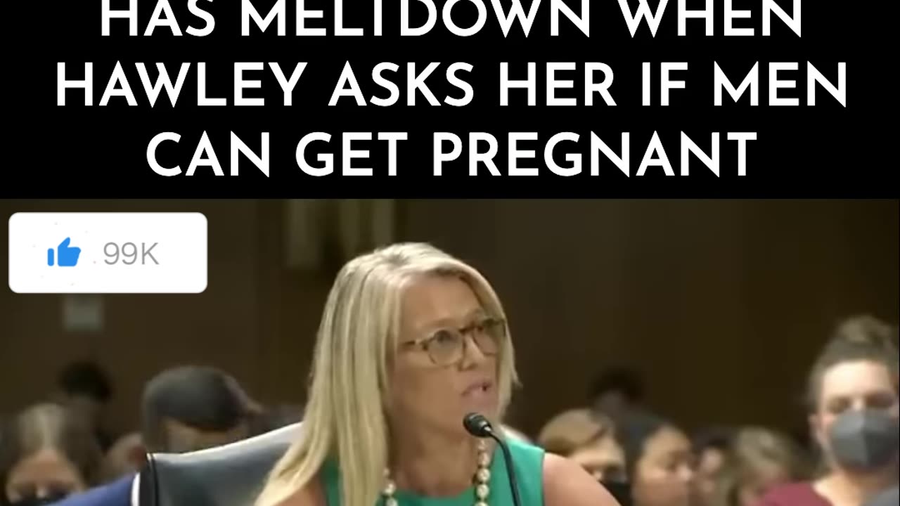 Far Left Professor Has Meltdown When Hawley Asks Her if Men Can Get Pregnant