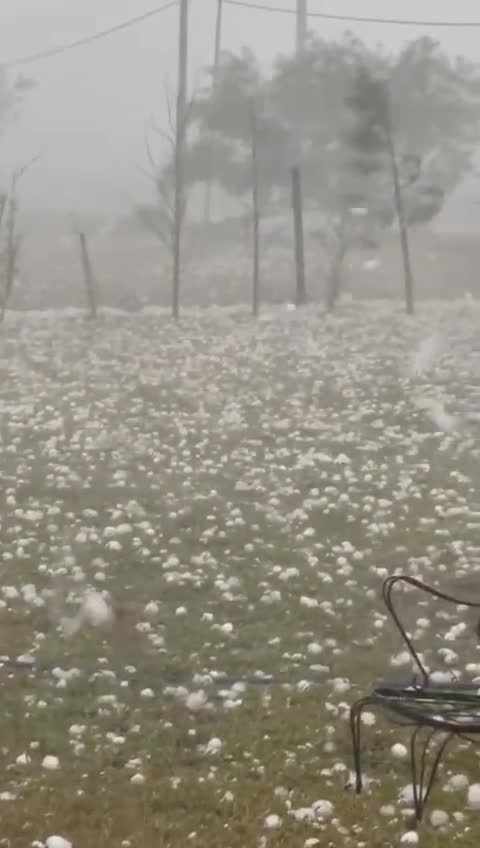 funny|prank|jokes|funny jokes|dad jokes|funny memes|funny video|fun|laughing|funny animal|knock