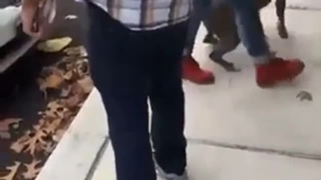 Fight outside smoke shop, girl tries to use dog