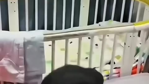 Funny baby kung fu