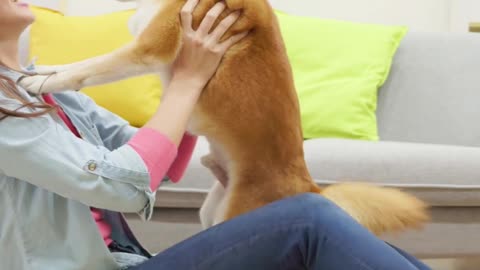 girl playing with dog #shorts