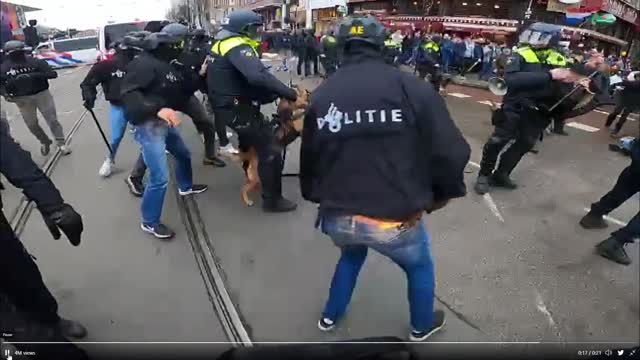 "A more angry World": Killer Dogs unleashed on innocent Amsterdam crowd over Covid protests