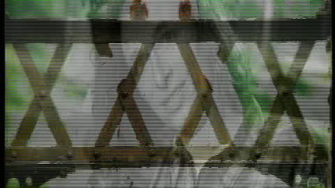 Steve Taylor on EdgeTV