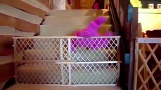 Try Not To Laugh Watching This Funny Kids Fails Compilation