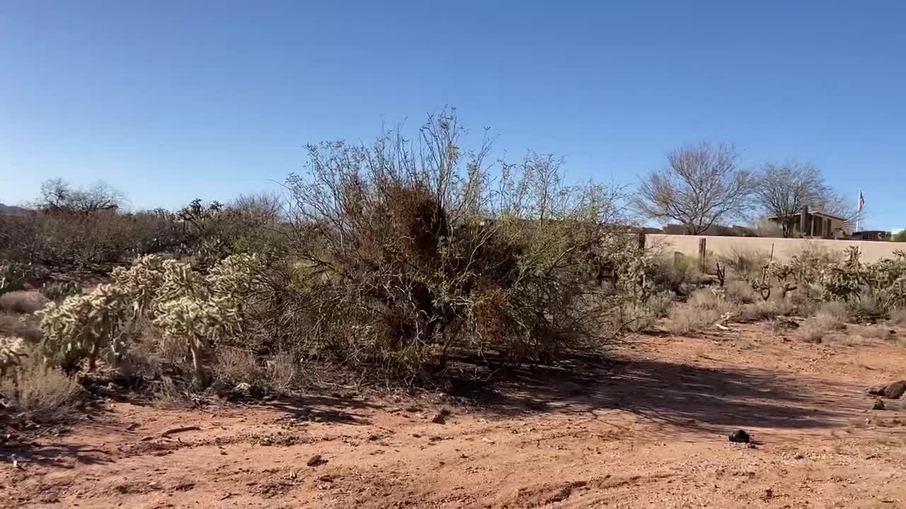 High Mesa, AZ 3-16-22 Back view