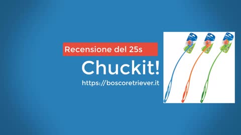 Recensione del chuckit 25s lanciapalline per cani