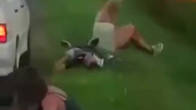 WCGW Never Ride In A Car With An Idiot