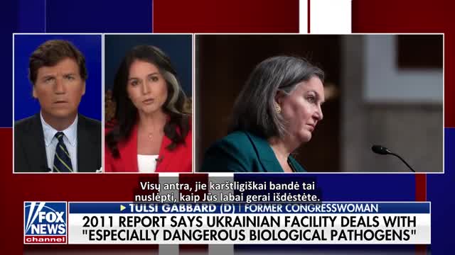 Tulsi Gabbard: Laboratorijos turi būti "nedelsiant uždarytos”