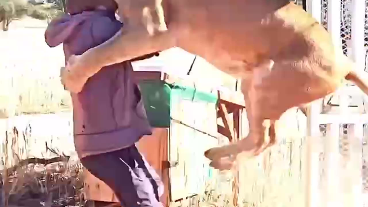 Come here you 😍😍😍👍👍